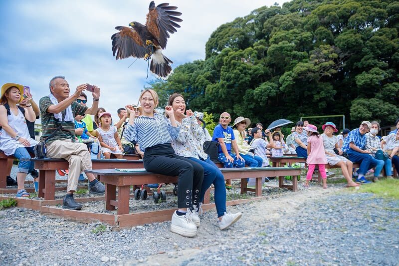 Kakegawa Kachoen Admission Ticket in Shizuoka - Start with the birds, not the clock