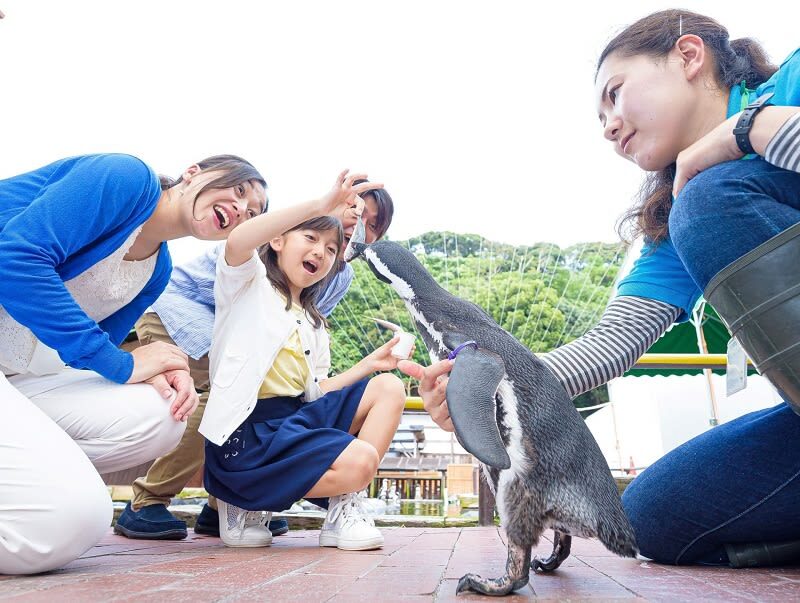 Kakegawa Kachoen Admission Ticket in Shizuoka - The greenhouse: flowers, water lilies, and birds