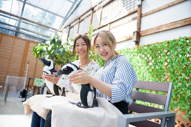 Kakegawa Kachoen Admission Ticket in Shizuoka - Feeding time: close contact with a small cost