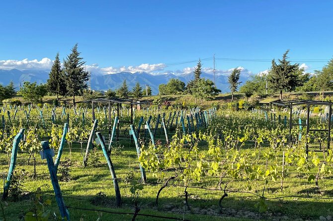 Kakheti.All Inclusive Wine Tour With Family Lunch - Frequently Asked Questions