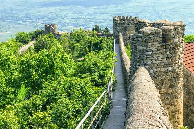Kakheti and Mtskheta Private Full-Day Tour - Additional Information and Accessibility