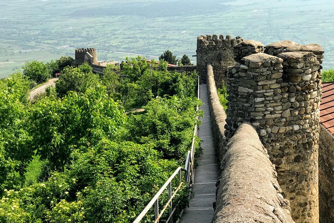 Kakheti and Sighnaghi Tour With Winetasting - Wine Tasting Experience