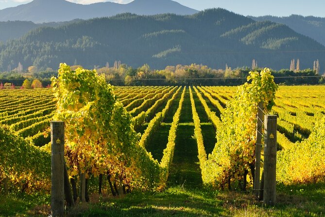 Kakheti: Bodbe (Monastery), Sighnaghi (Love City), Telavi Wine Tour From Tbilisi - Reserve Now