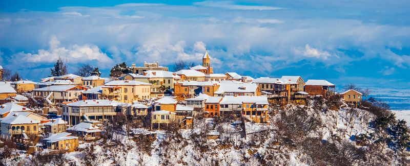 Kakheti Wine Region Tour from Tbilisi - Kakheti in a day: the highlights