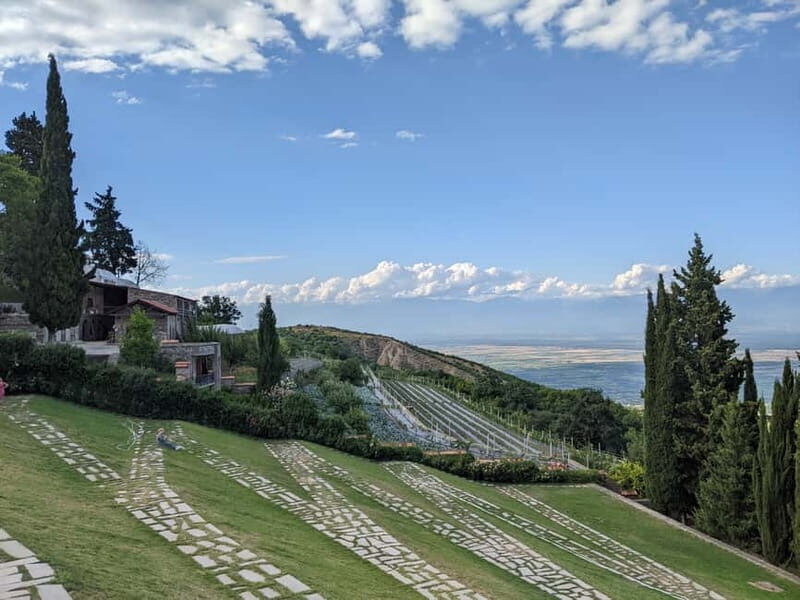 Kakheti: Wine tour from Tbilisi - Enjoy 6 sorts of wine - What This Tour Means for You