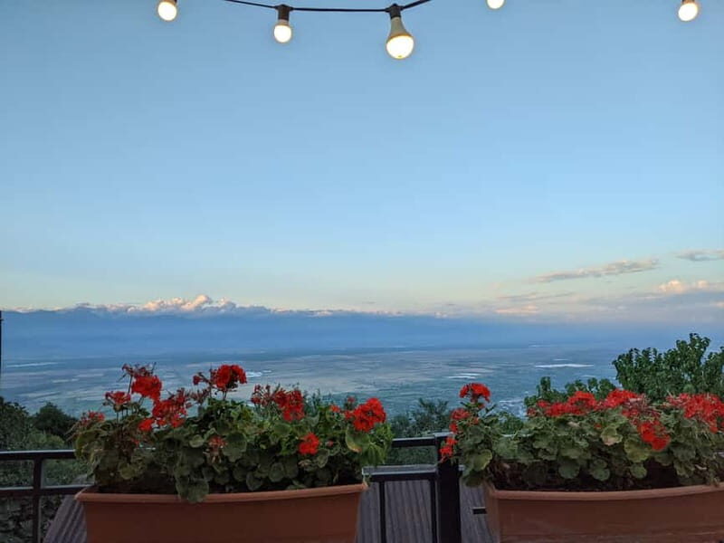 Kakheti: Wine tour from Tbilisi - Enjoy 6 sorts of wine - Frequently Asked Questions