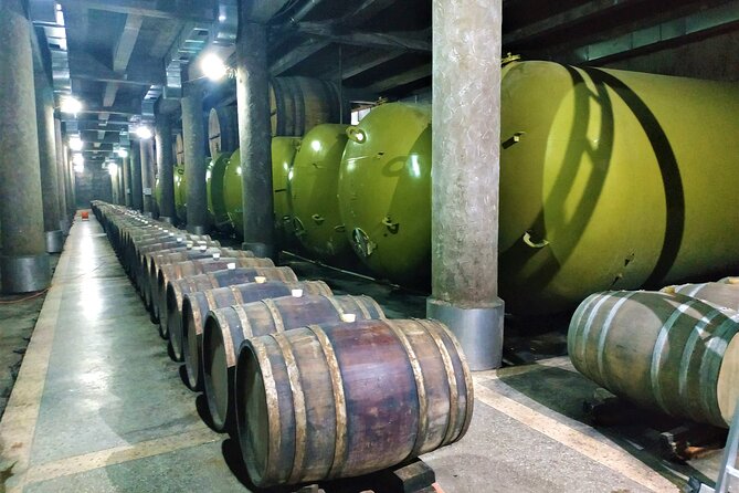 Kakheti Wine Tour With 20+ Wine Tastings & Qvevri Masterclass - Kindzmarauli Corporation Visit