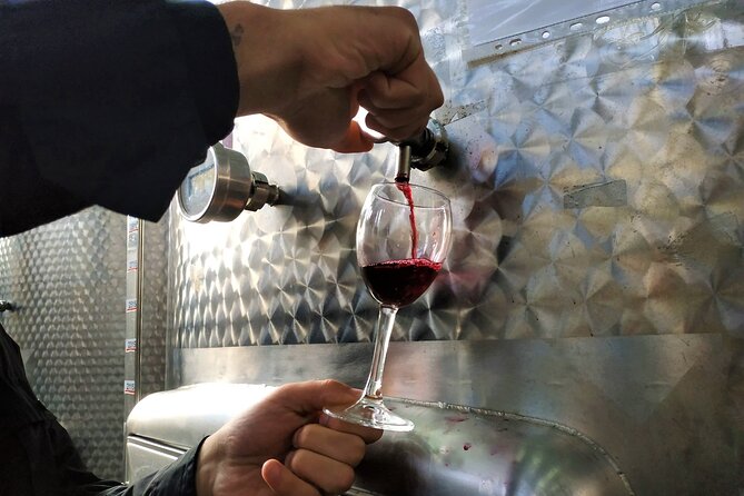 Kakheti Wine Tour With 20+ Wine Tastings & Qvevri Masterclass - Rave Reviews and Testimonials