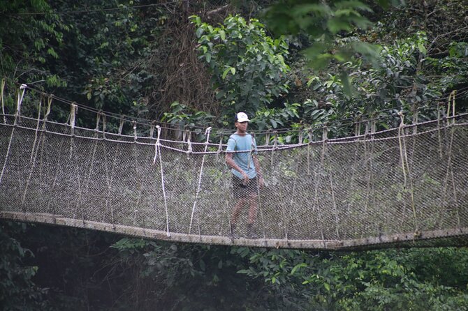 Kakum National Park and Cape Coast Castle Day Tour - Customer Reviews and Ratings