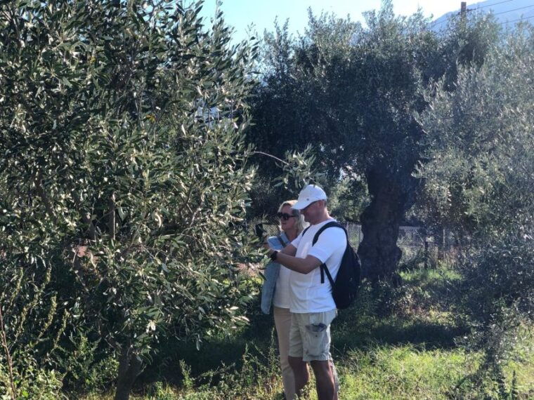 Kalamata, Greece: Organic Olive Grove Tour-Olive oil tasting - Final Words