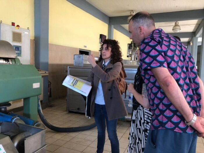 Kalamata, Greece: Organic Olive Grove Tour-Olive oil tasting - FAQ