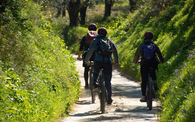 Kalamata: Olive Grove E-Mountain Bike Tour With Picnic Lunch - Activity Description