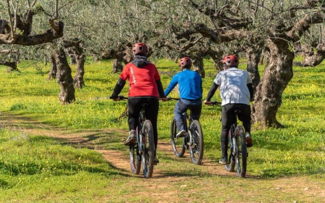 Kalamata: Olive Grove E-Mountain Bike Tour With Picnic Lunch - Frequently Asked Questions