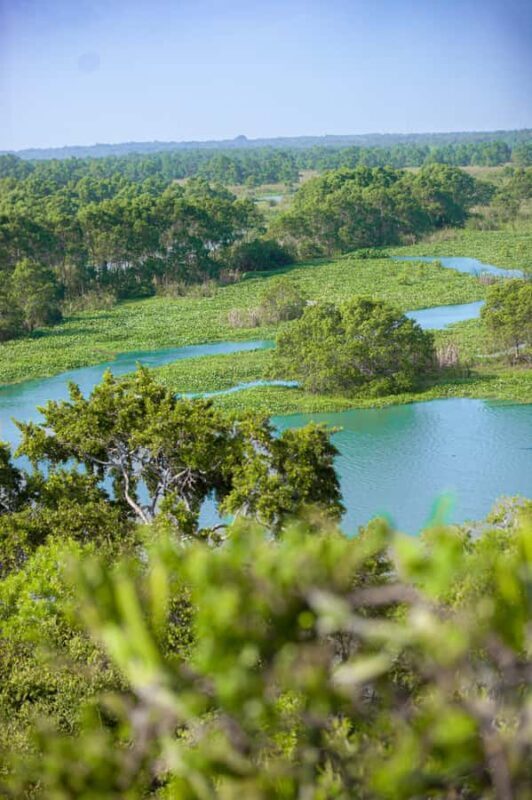 Kalametiya: Bird Sanctuary Catamaran Bird Watching Tour - The Guided Tour Experience