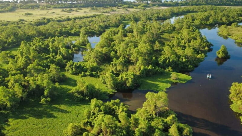 Kalametiya Sanctuary: Bird Watching by Private Boat Tour - Why This Tour Offers Great Value