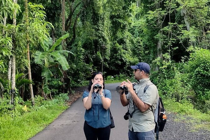 Kalapathar Sunrise, Birdwatching and Village Tour - The Experience in Detail