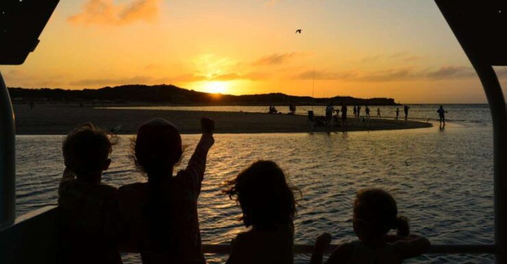 Kalbarri: Cruise on the Murchison River - Experience Highlights