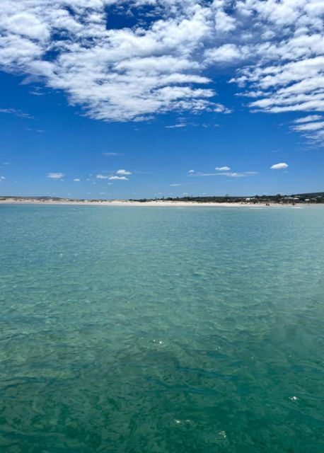 Kalbarri: Cruise on the Murchison River - Wildlife Spotting Opportunities