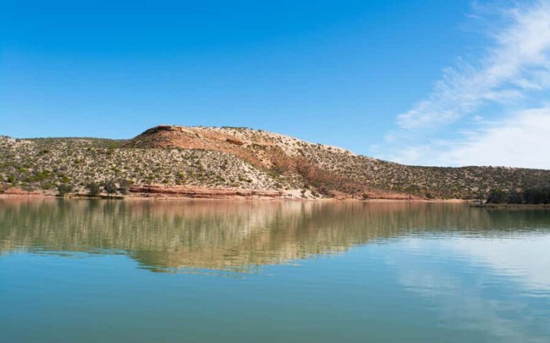 Kalbarri: Murchison River Wilderness Wildlife Cruise - An In-Depth Look at the Murchison River Wilderness Wildlife Cruise