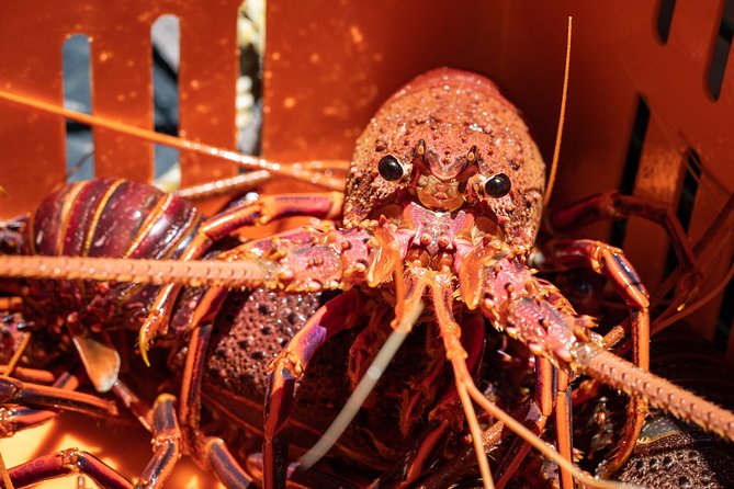 Kalbarri Rock Lobster Pot Pull Tour in Kalbarri - Scenic Beauty and Points of Interest