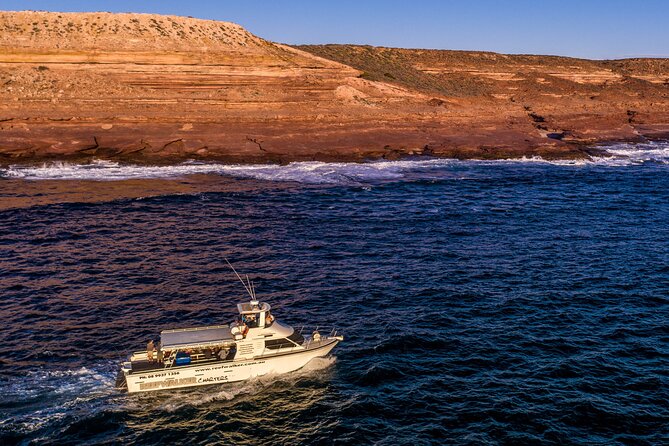 Kalbarri Sunset Cruise Along the Coastal Cliffs - Pricing