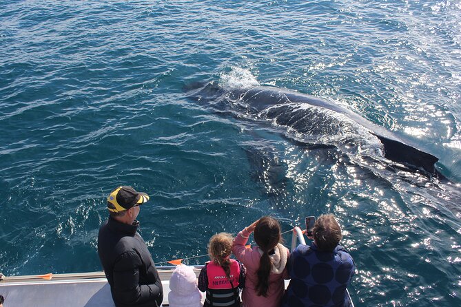 Kalbarri Whale Watching Tour - Reviews