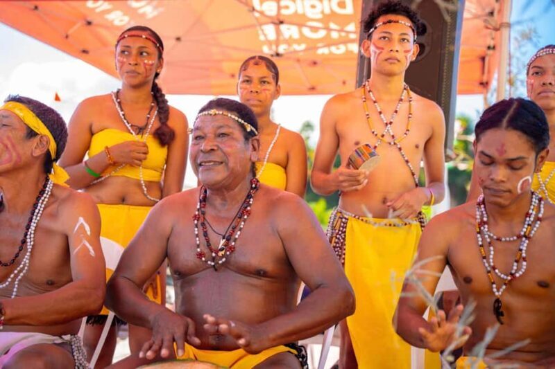 Kalinago Barana Aute Cultural Excursion - What to Expect from the Kalinago Barana Aute Cultural Excursion  