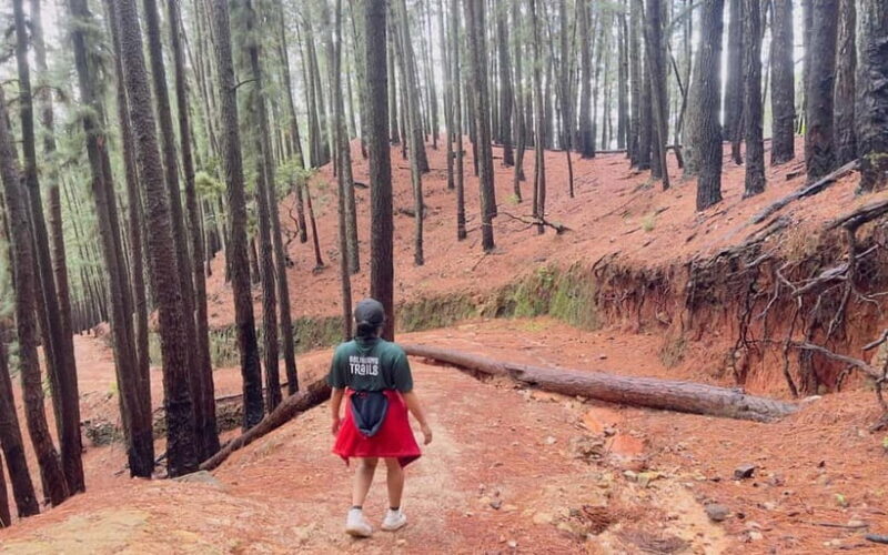 Kalupahana: Wangedigala Hiking Trail Guided Tour - Good To Know