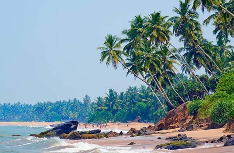 Kalutara: Private City Sightseeing Guided Tour by Tuk Tuk - Why This Tour Is Worth It