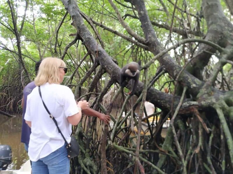 Kalutara: Private City Sightseeing Guided Tour by Tuk Tuk - Optional Beach Market and Shopping