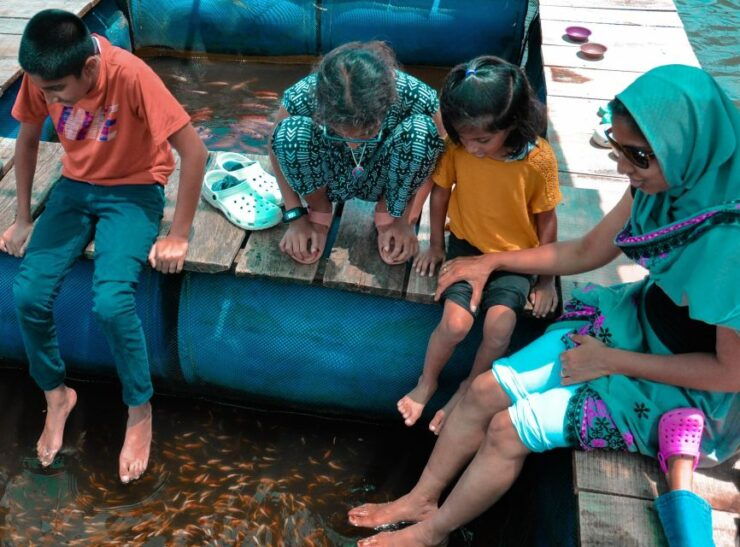 Kalutara: Turtle Hatchery Visit, Boat Safari, and Galle Tour - Activity Highlights