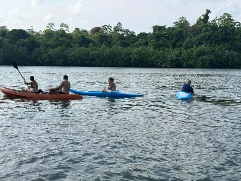 Kalutara/Wadduwa: Galle Fort, Koggala Lake Safari & Kayaking - A Deep Dive into the Galle Fort, Koggala Lake, and Kayaking Tour