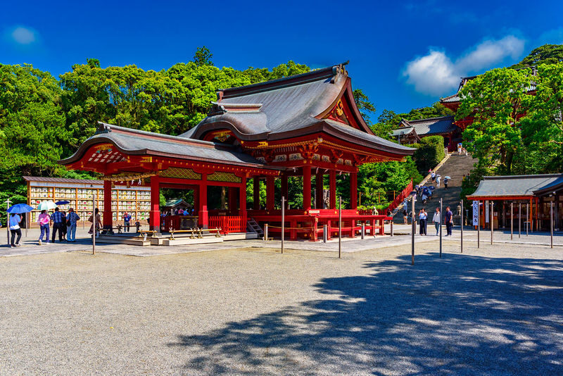 Kamakura 4hr Private Trip with Government-Licensed Guide - What the guide adds
