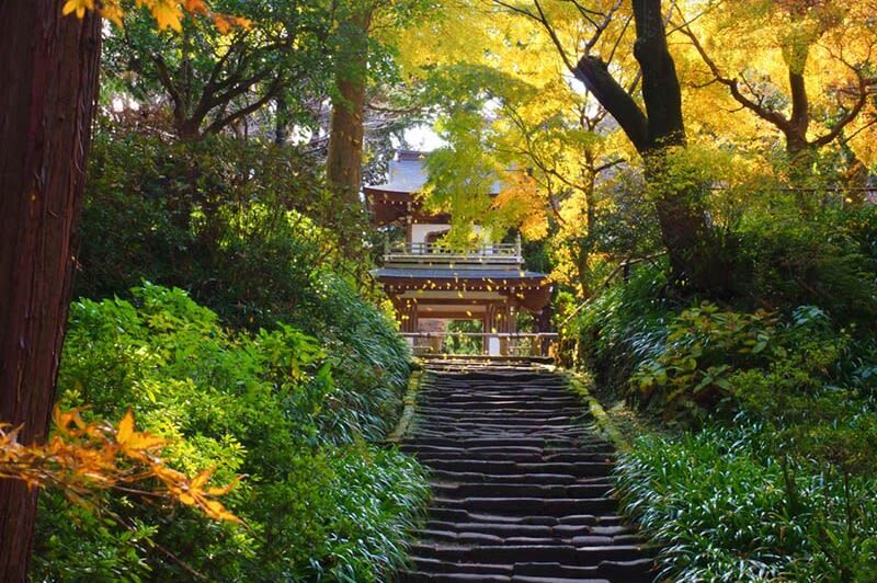 Kamakura 4hr Private Trip with Government-Licensed Guide - Who this tour suits best