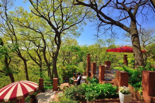Kamakura: 5-Hour Nature and History Walking Tour - Accessibility and Restrictions
