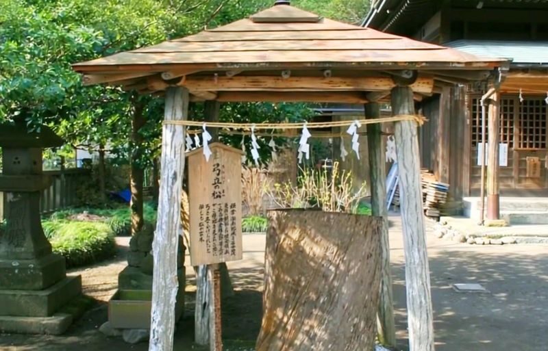 Kamakura All-Access | Gokuraku-ji Temple, Goryo Shrine, and Enoshima Island Day Trip - Enoshima: food street, shrine and sea views