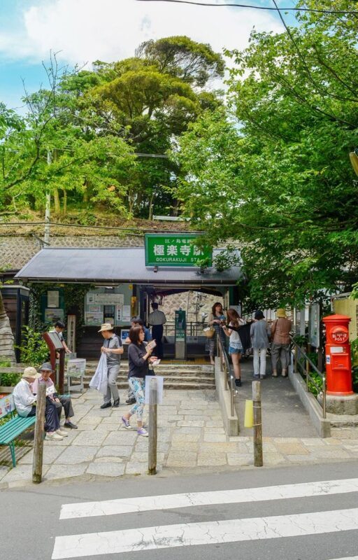 Kamakura All-Access | Gokuraku-ji Temple, Goryo Shrine, and Enoshima Island Day Trip - Who should book this day trip?