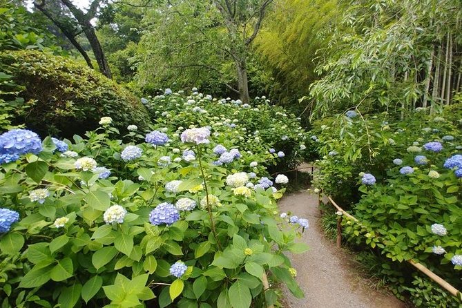 Kamakura and Eastern Kyoto With Lots of Temples and Shrines - Practical Information