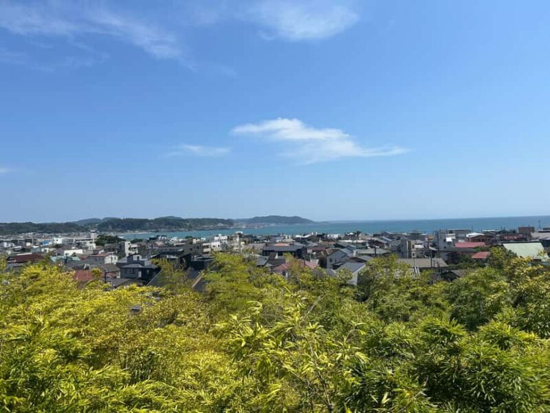Kamakura and Enoshima: Local Flavors & Culture Walking Tour - Who Will Love This Tour?