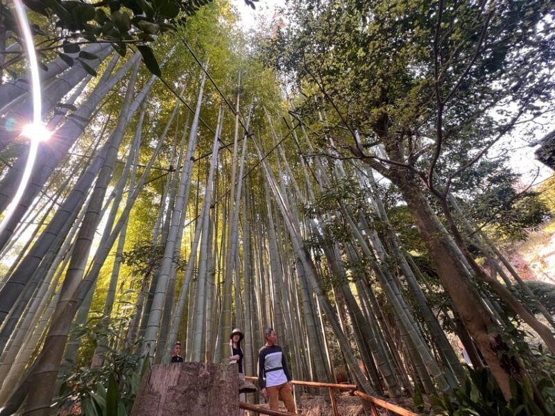 Kamakura and Enoshima: Private Guided Day Tour with Vehicle - Why Choose This Tour?