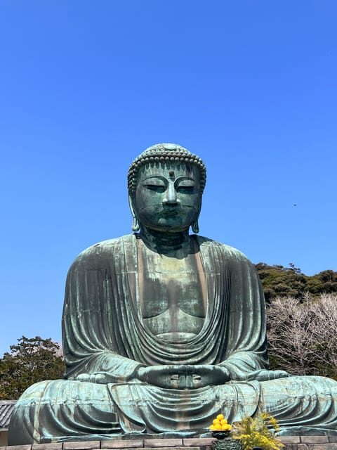 Kamakura and Enoshima: Private Guided Day Tour with Vehicle - Transportation and Guide Experience