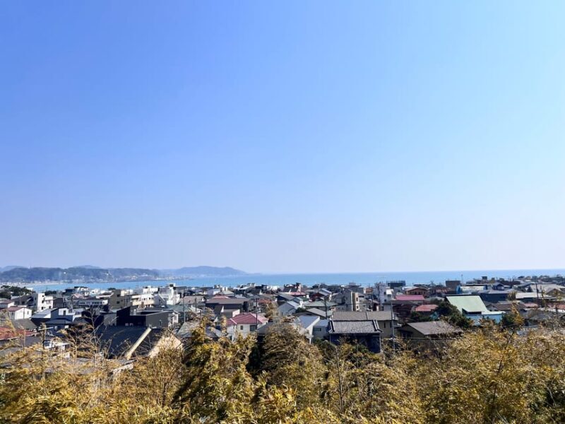 Kamakura and Enoshima: Private Guided Day Tour with Vehicle - The Realities from Reviews