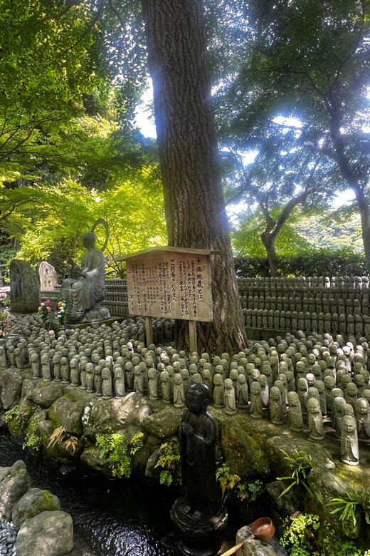 Kamakura and Enoshima: Private Guided Day Tour with Vehicle - The Sum Up