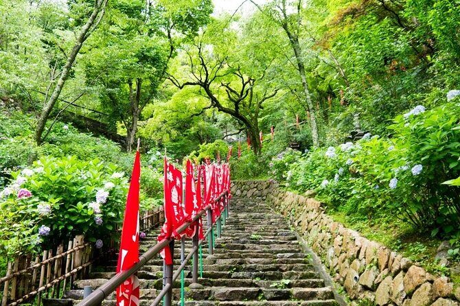 Kamakura and Enoshima Private Tour with English Speaking Driver - The Itinerary: What You Can Expect