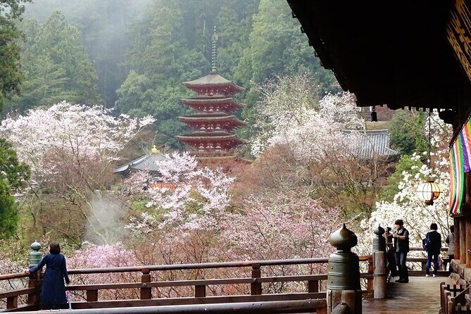 Kamakura and Yokohama Private Tour with Bilingual Chauffeur - A Full Breakdown of the Tour Experience