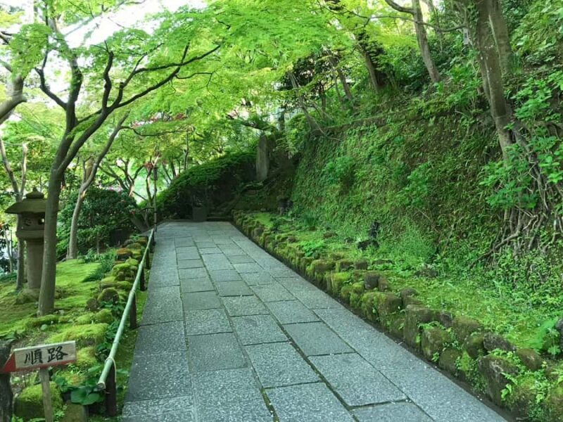 Kamakura: Anime Pilgrimage Tour with Local Guide - An In-Depth Look at the Kamakura Anime Pilgrimage Tour