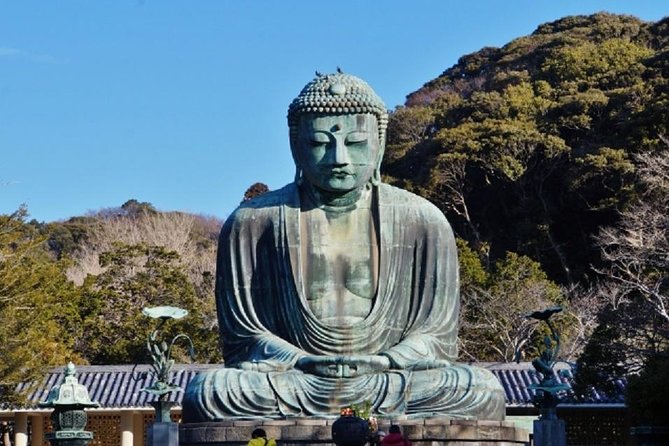 Kamakura Bamboo Forest and Great Buddha Private Tour - Expert Tour Guide