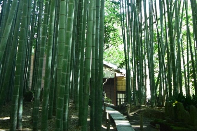 Kamakura Bamboo Forest and Great Buddha Private Tour - Pricing and Group Size Options