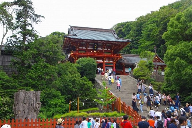 Kamakura Bamboo Forest and Great Buddha Private Tour - Common Questions