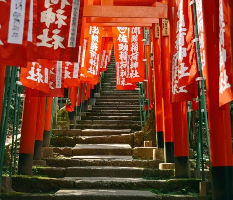 Kamakura: Cherry Blossom Full Day Tour with Expert Guide - Discovering Kamakura’s Cherry Blossoms: An In-Depth Look